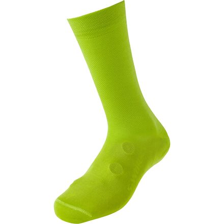 Allbirds(オールバーズ) スニーカー 売りわたす バス発着場 | ブランド名シューズ