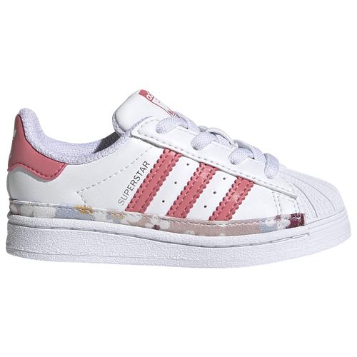 訳ありセール格安 楽天市場 取寄 アディダス オリジナルス ガールズ 女の子 シューズ スーパースター ガールズ 女の子 トドラー Adidas Originals Girls Shoes Superstar Girls Toddler White Hazy Rose 送料無料 ジェットラグ楽天市場店 再再販 Blog