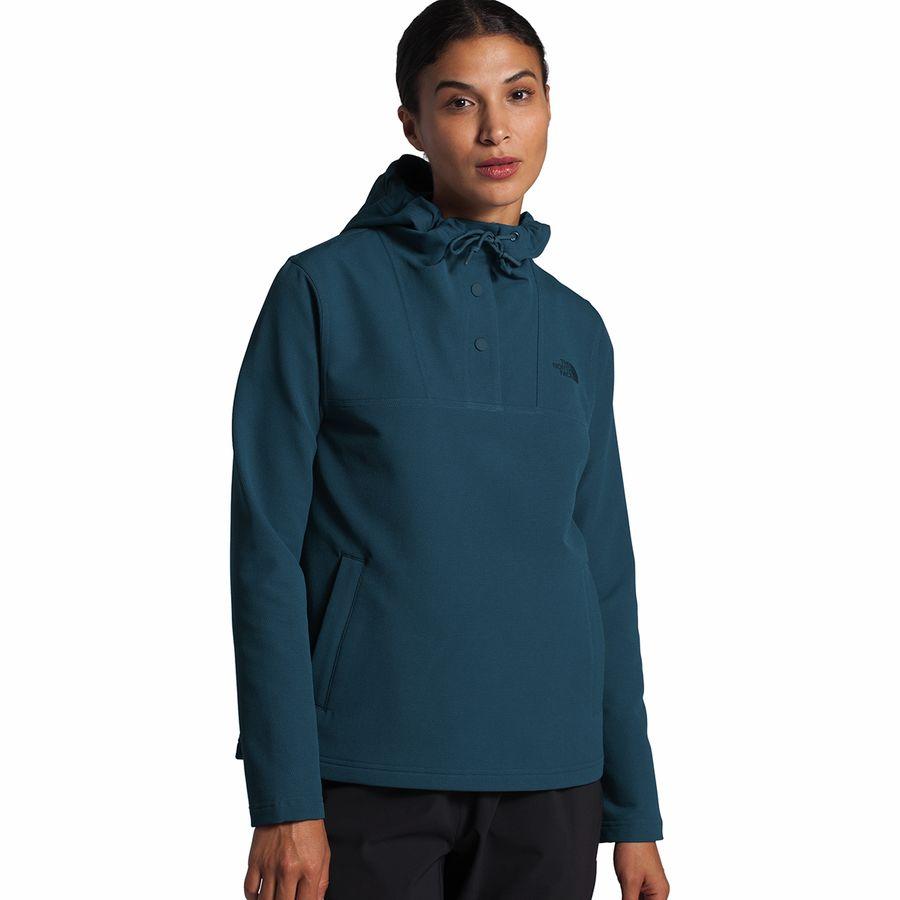 the north face women's tekno ridge hoodie