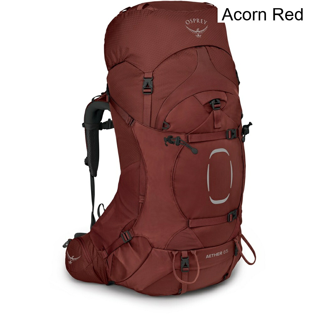 (取寄) オスプレー エーテル65パック - メンズ osprey Aether 65 Pack - Men's|ジェットラグ店