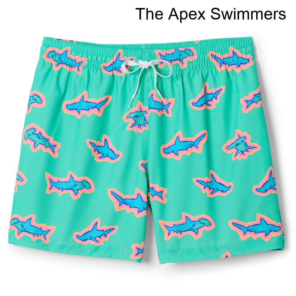 (取寄) チャビーズ ストレッチ5.5インチ水着トランクス - メンズ chubbies Stretch 5.5" Swim Trunks - Men's｜ジェットラグ店