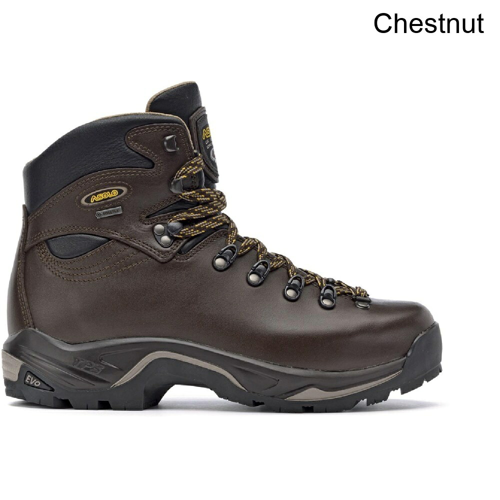 (取寄) アゾロ TPS520GVエヴォハイキングブーツ - レディース asolo TPS 520 GV EVO Hiking Boots - Women's｜ジェットラグ店