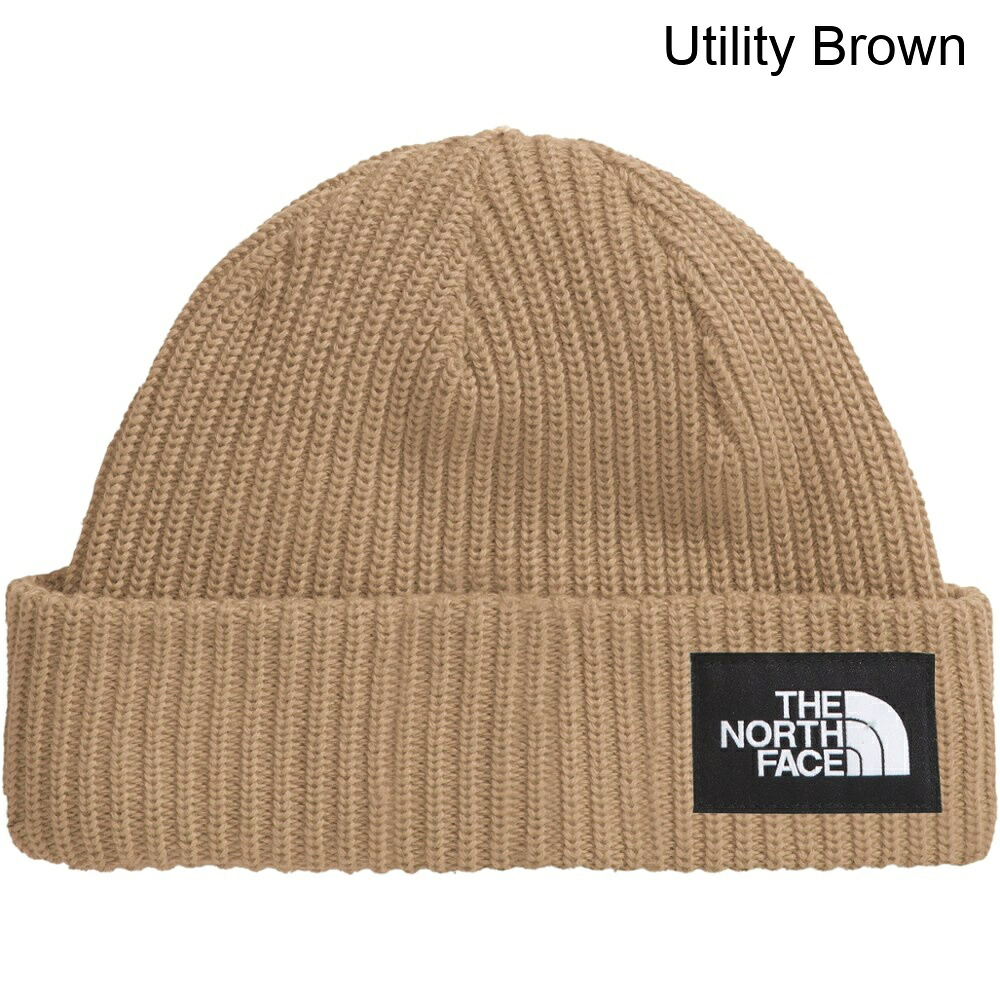 (取寄) ザ・ノース・フェイス ソルティーラインドビーニー - キッズ the north face Salty Lined Beanie - Kids'｜ジェットラグ店
