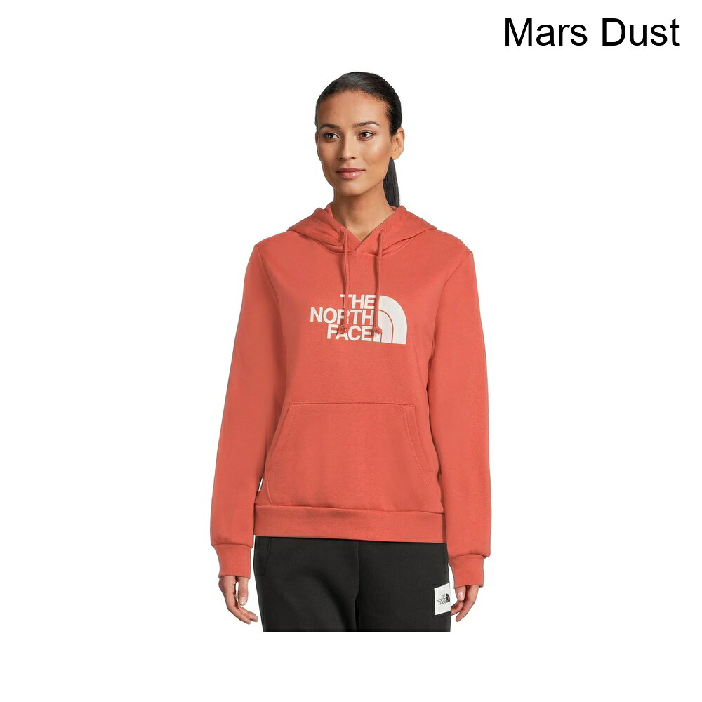 (取寄) ザ・ノース・フェイス エボリューションハーフドームレギュラーフーディ the north face Evolution Half Dome Regular Hoodie｜ジェットラグ店