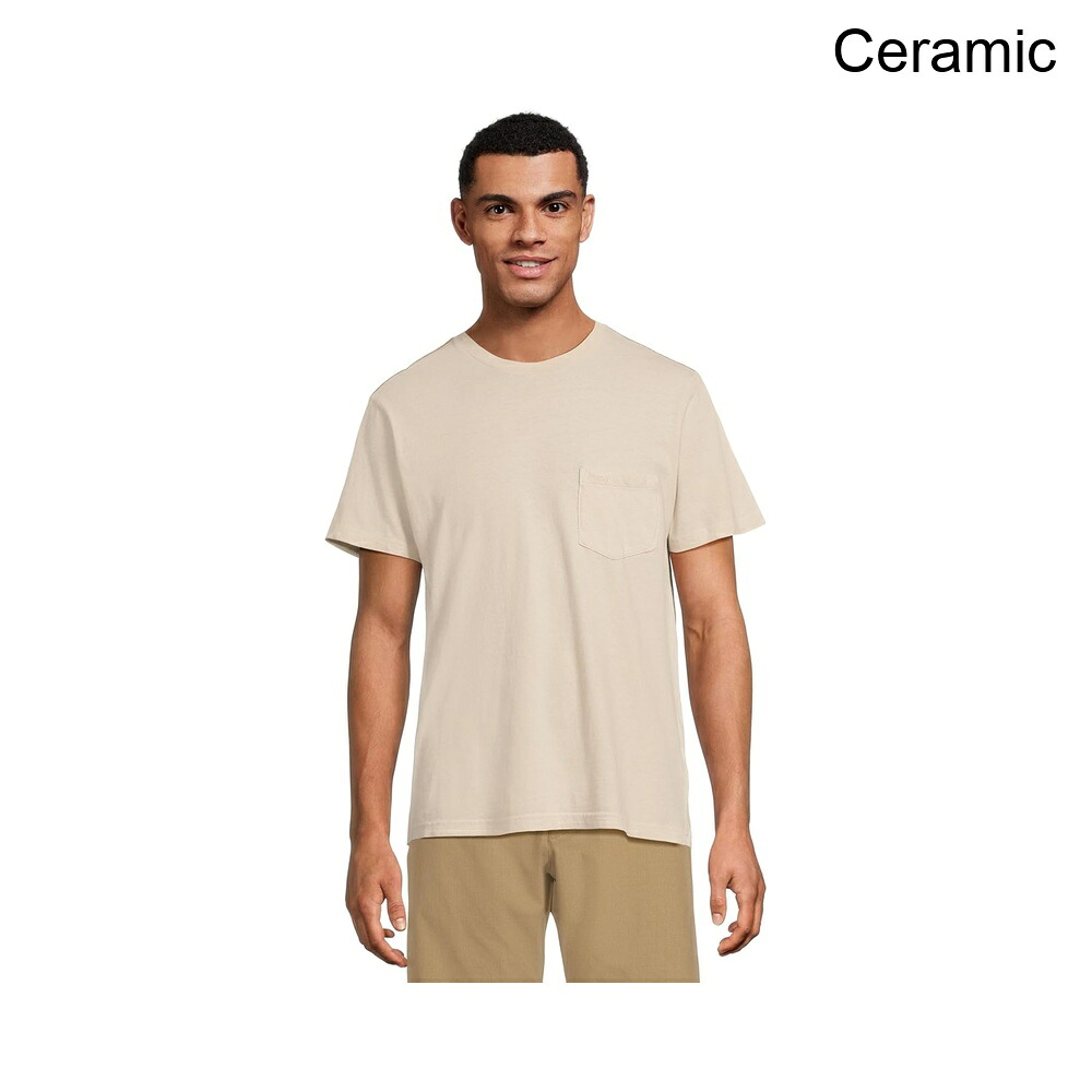 (取寄) rvca PTC2ピグメントショートスリーブ rvca PTC 2 Pigment Short Sleeve|ジェットラグ店