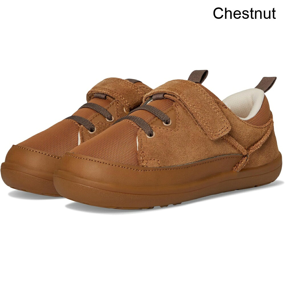 (取寄) アグ アドベンチャースニーカー（トドラー/リトルキッド） ugg Adventurer Sneaker (Toddler/Little Kid)｜ジェットラグ店