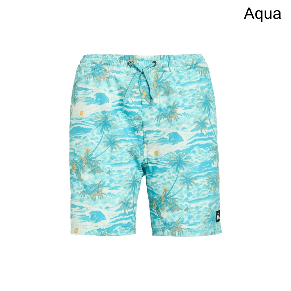 (取寄) クイックシルバー サーフシルクミックスボレー(ビッグキッズ) quiksilver Surfsilk Mix Volley (Big Kid)|ジェットラグ店