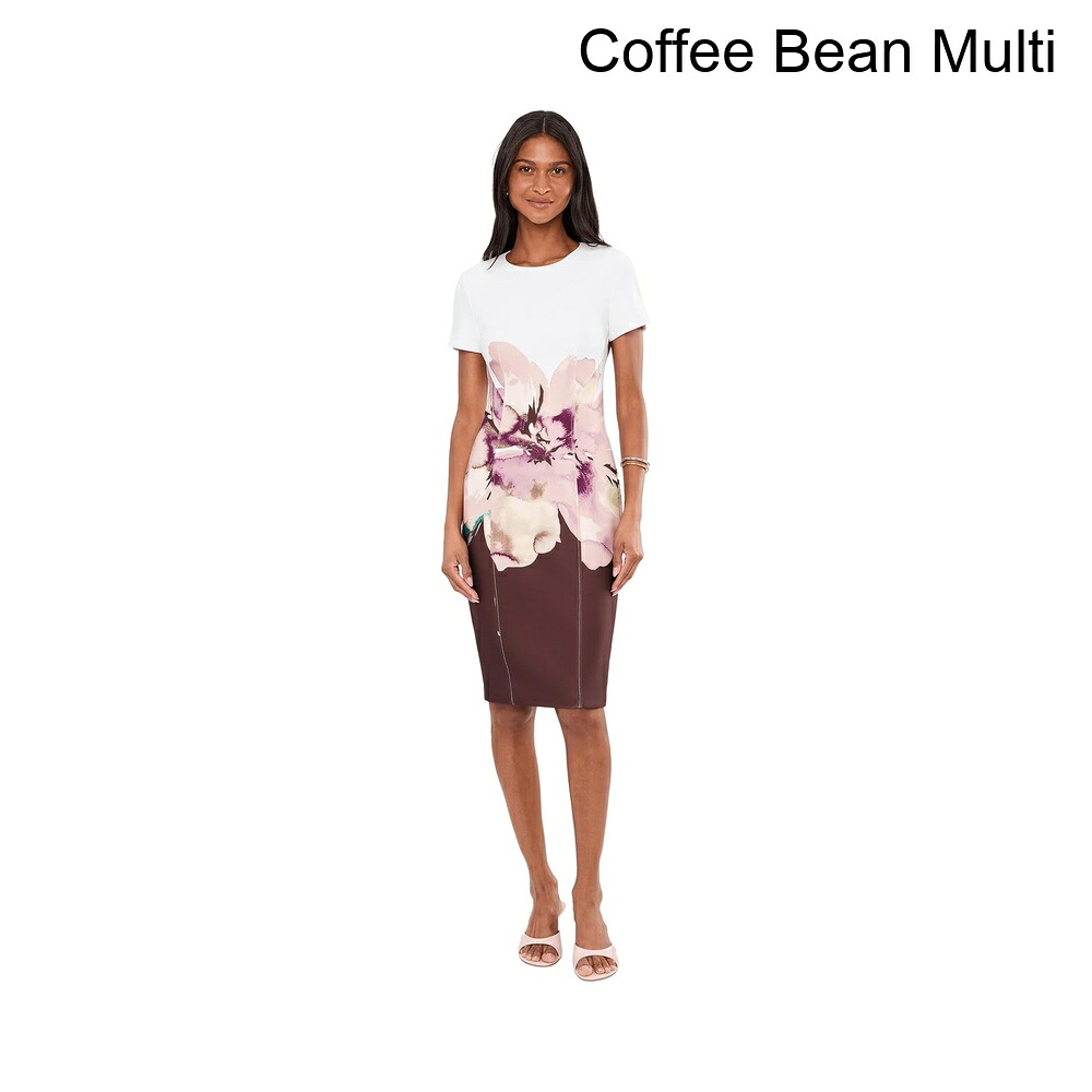 (取寄) カルバン・クライン ショートスリーブフローラルスキューバシース calvin klein Short Sleeve Floral Scuba Sheath｜ジェットラグ店