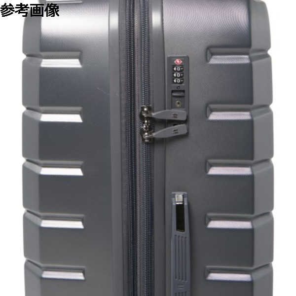 賜物 取寄 ユニセックス IT ラゲージ スーツケース - メタリック 