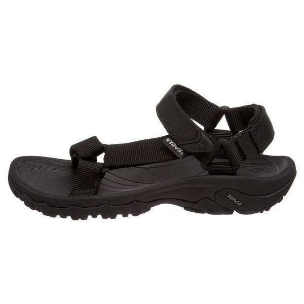 teva 4134