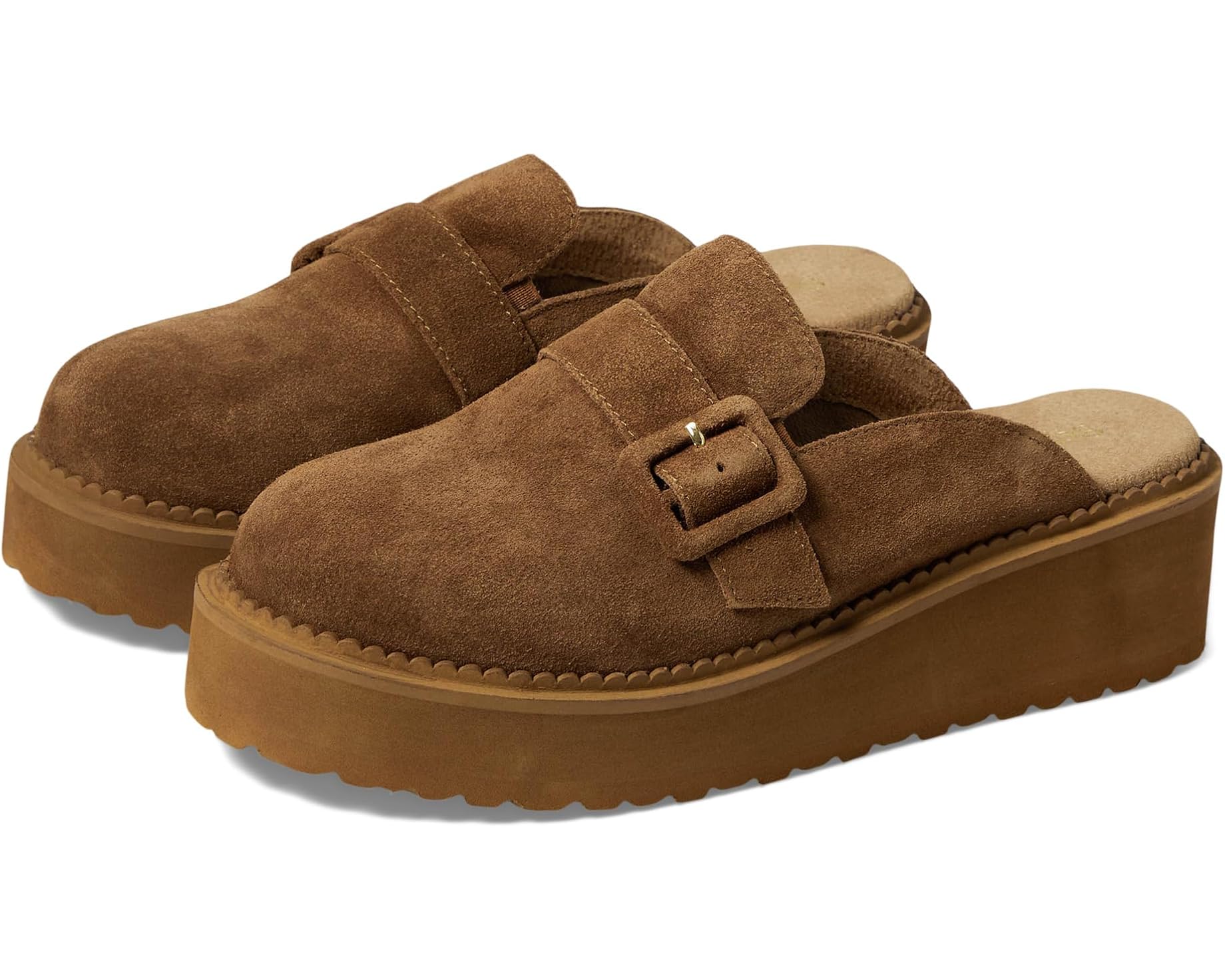 Allbirds(オールバーズ) スニーカー 売りわたす バス発着場 | ブランド名シューズ