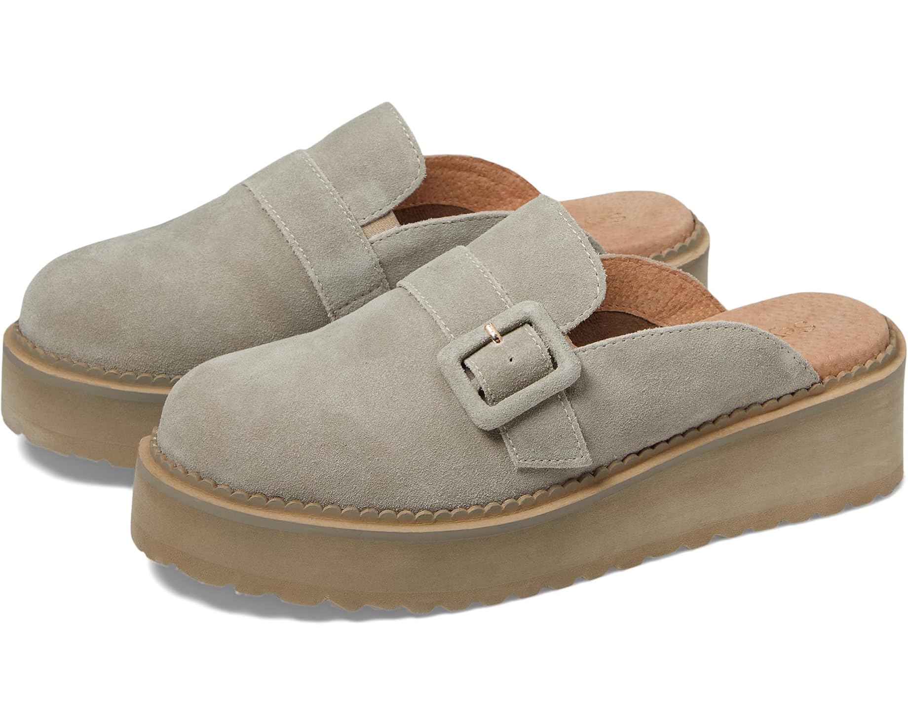 Allbirds(オールバーズ) スニーカー 売りわたす バス発着場 | ブランド名シューズ