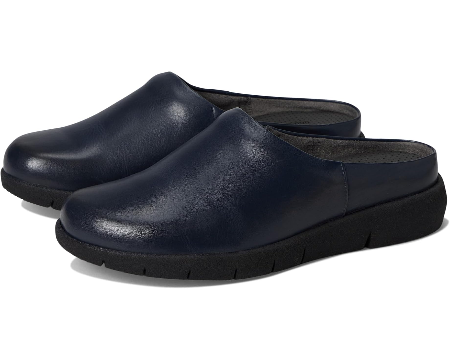 Allbirds(オールバーズ) スニーカー 売りわたす バス発着場 | ブランド名シューズ