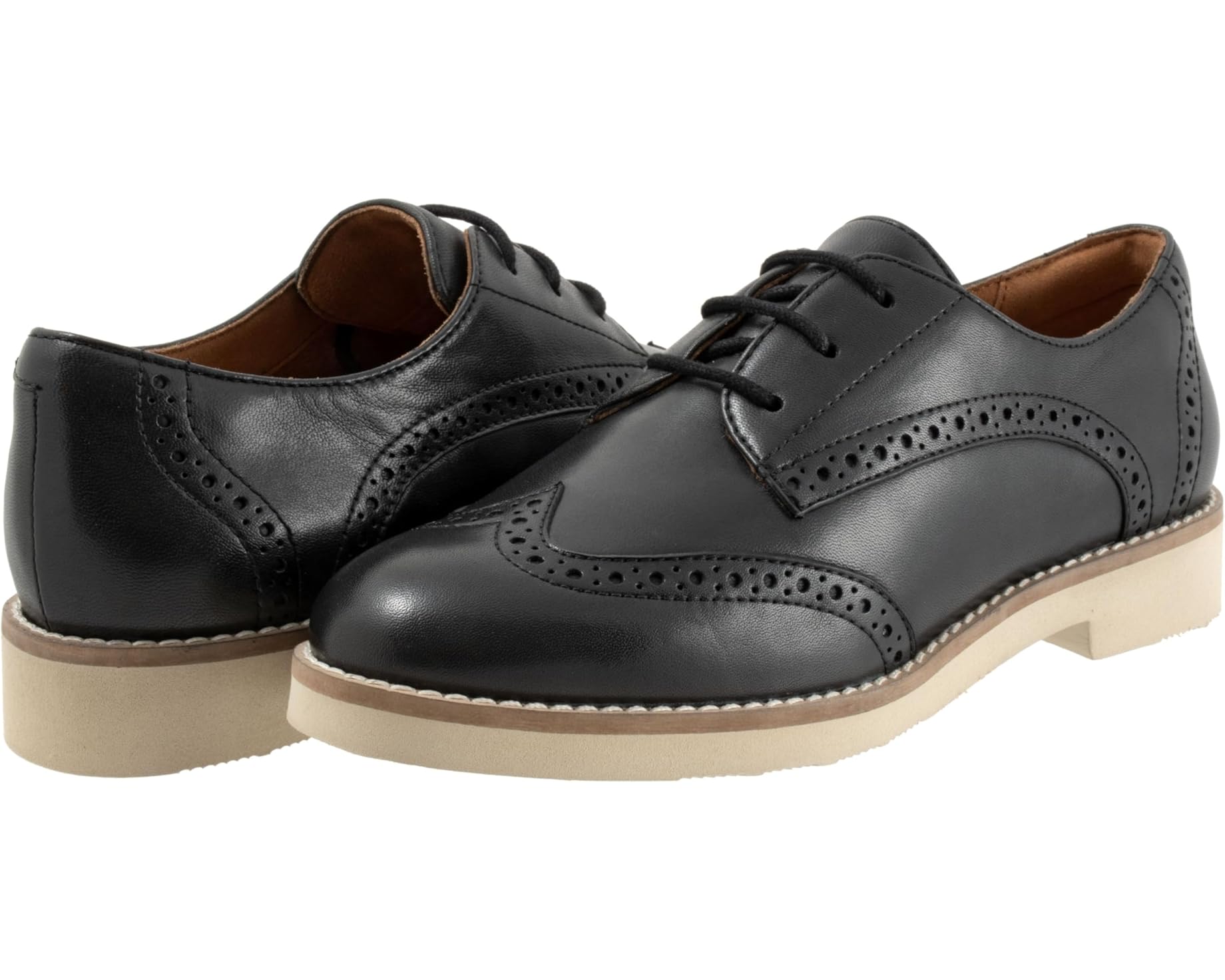 (取寄) ソフトウォーカー レディース ウィレット SoftWalk women Willet Black|ジェットラグ店