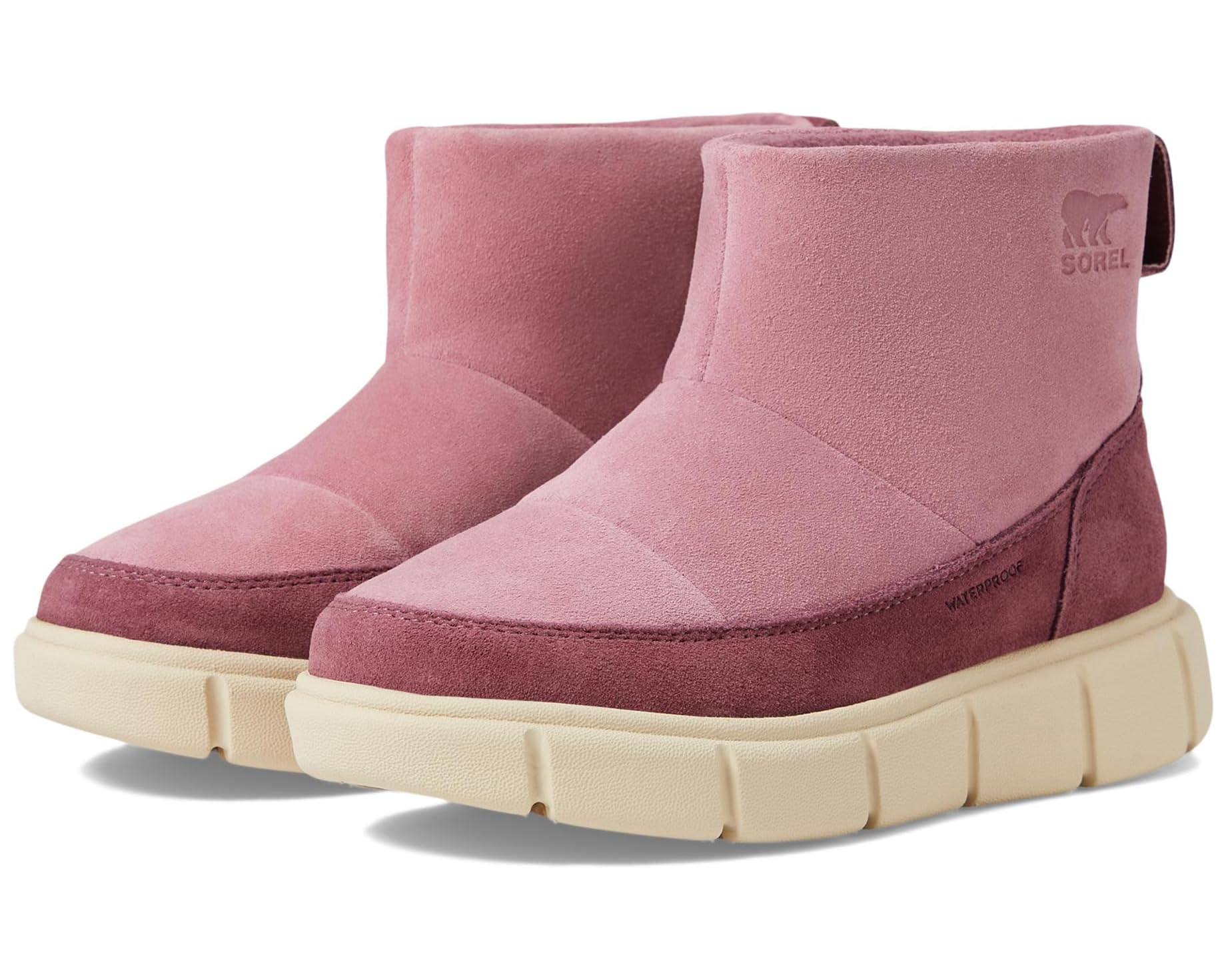 Allbirds(オールバーズ) スニーカー 売りわたす バス発着場 | ブランド名シューズ