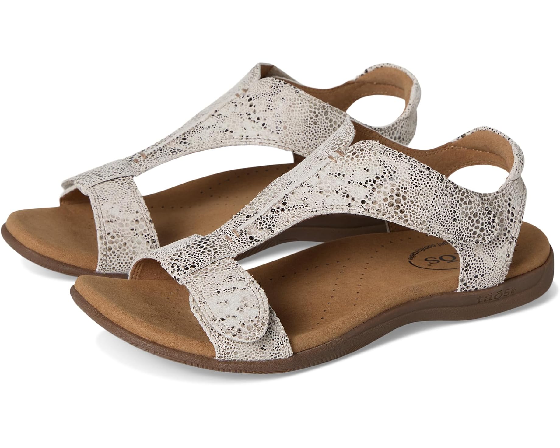 (取寄) タオス フットウェア レディース ザ ショー Taos Footwear women The Show Brown Snake|ジェットラグ店