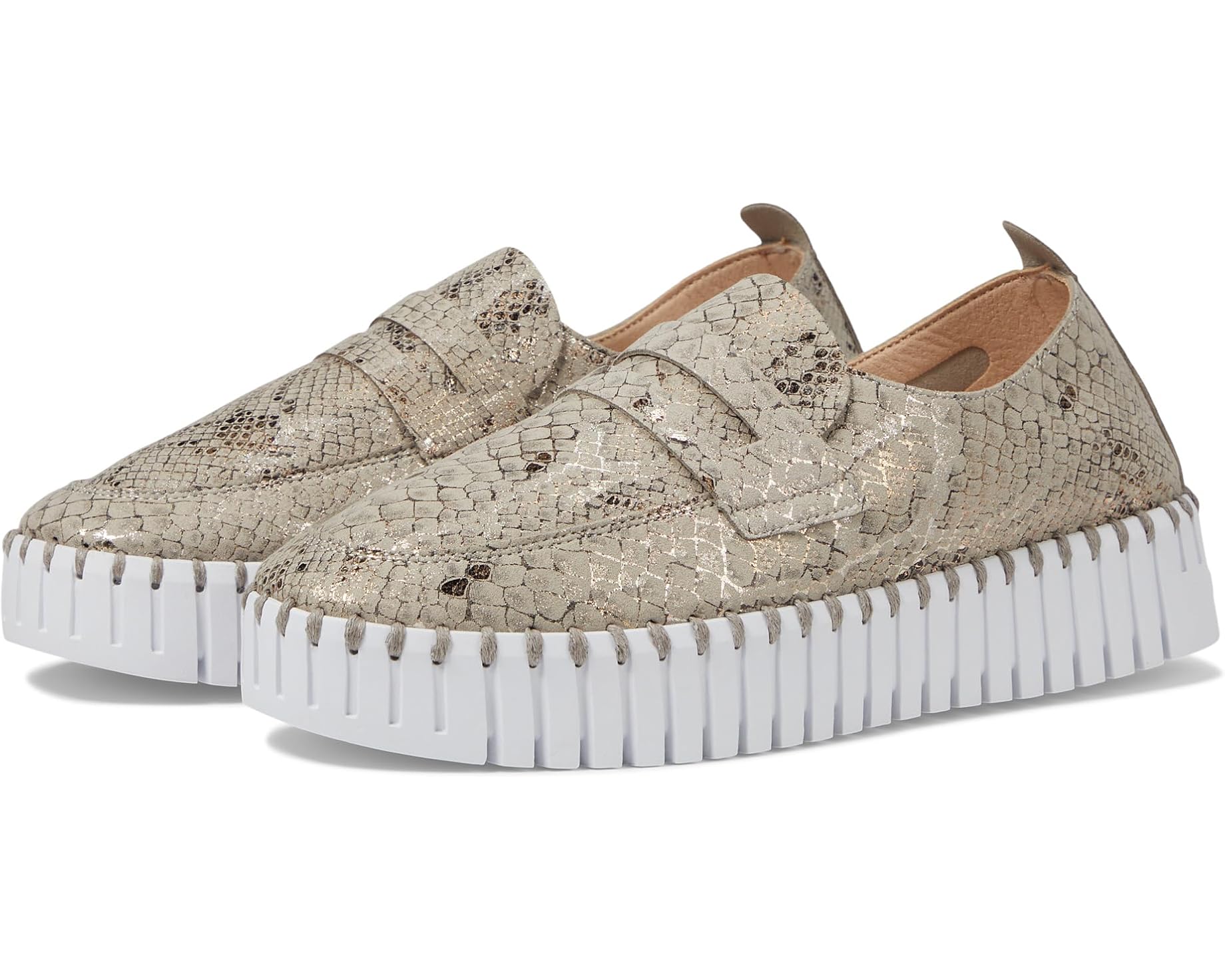 Allbirds(オールバーズ) スニーカー 売りわたす バス発着場 | ブランド名シューズ