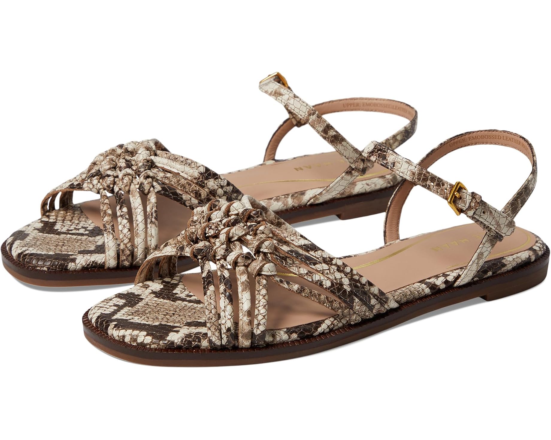 (取寄) コールハーン レディース ジトニー ノット サンダル Cole Haan women Jitney Knot Sandals Sandollar Soho Snake Prnt Leather|ジェットラグ店