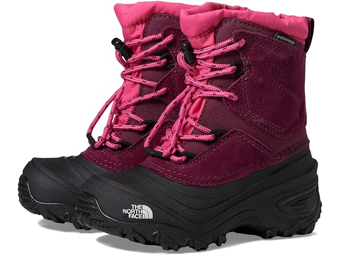 (取寄) ノースフェイス シューズ キッズ アルペングロー V ウォータープルーフ The North Face Kids Alpenglow V Waterproof (Toddler/Little Kid/Big Kid) Boysenberry/TNF Black