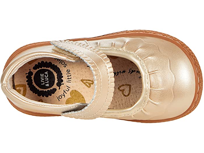 プレゼント 取寄 リビー ルカ ガールズ リューシュ クラシック トドラー リトル キッズ Livie Luca Girls Ruche Classic Toddler Little Kid Champagne Fucoa Cl