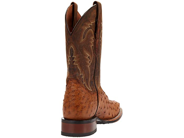 Dan Post ダンポスト メンズ 男性用 シューズ 靴 ブーツ ウエスタンブーツ Alamosa Bay Apache Ostrich  通販