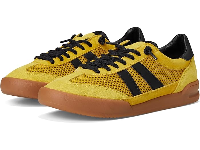 (取寄) スティーブマデン レディース ヴァーディクト シューズ 靴 Steve Madden women Verdict Black/Yellow