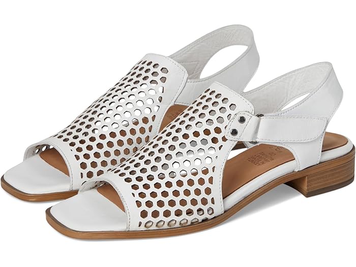 (取寄) スプリング ステップ レディース Spring Step women Gosset White