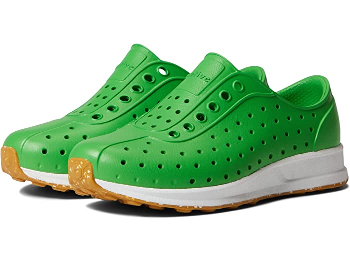 評価 取寄 ネイティブシューズ キッズ ロビー リトル Native Shoes Kids Kids Robbie Little Kid Grasshopper Green Shell White Mash Speckle Rubber Fucoa Cl