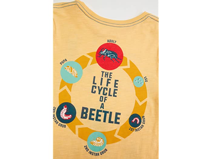 取寄 ピーク ザ ライフ サイクル オブ A ビートル ティー トドラー リトル キッズ ビッグ PEEK The Life Cycle of Beetle Tee Toddler