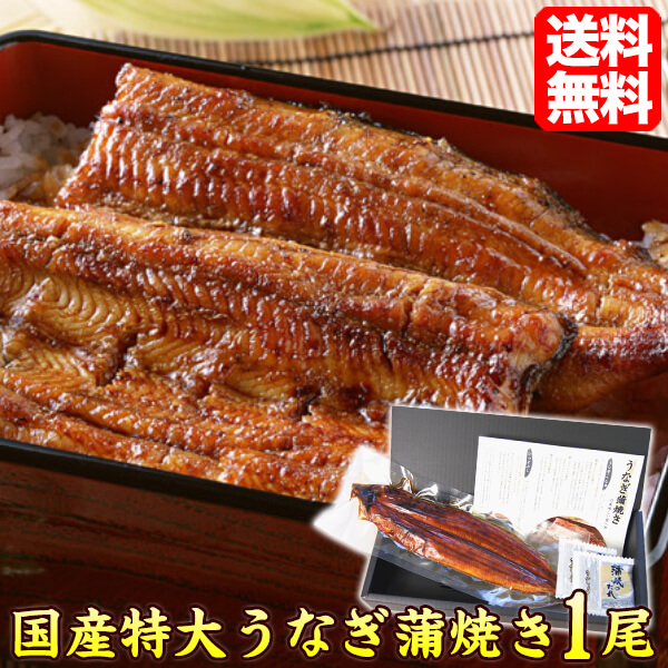 輪島塗 お弁当箱 5客セット 鰻 蒲焼き ひつまぶし 江戸弁当二段 うなぎ 重箱 器 容器 ひつまぶし 鰻 日本製 土用の