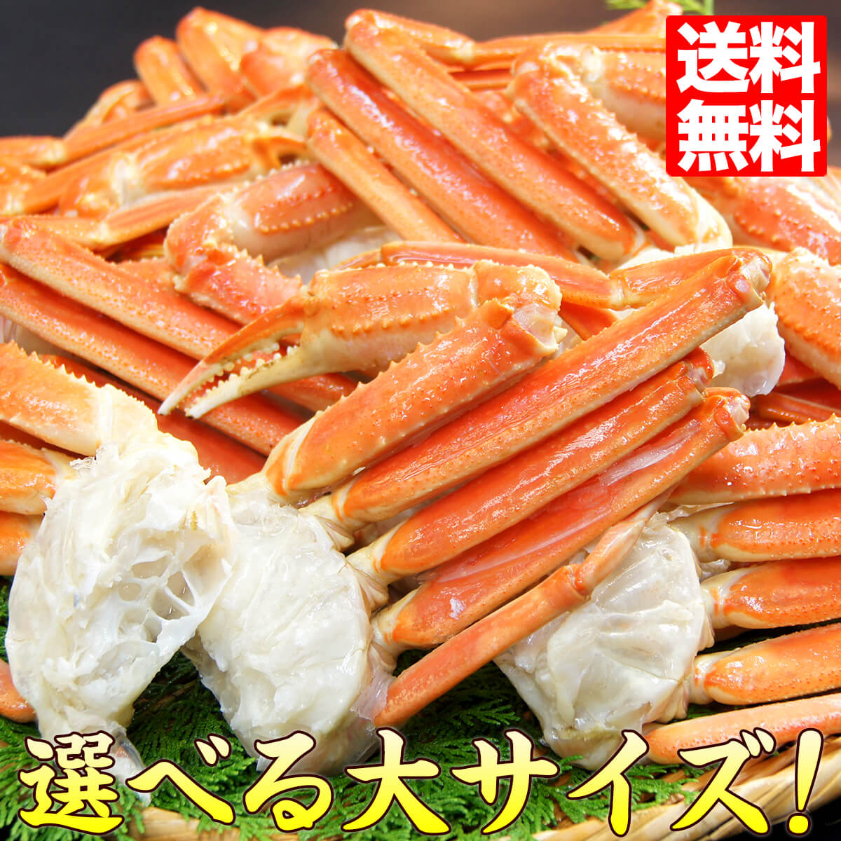 かに カニ ズワイガニ ボイル 蟹脚 選べる大サイズ 3～4Lサイズ 約7～8肩入り 2Lサイズ 約9～13肩入り 送料無料 ずわいがに 鍋 贈答 プレゼント 最安値に挑戦