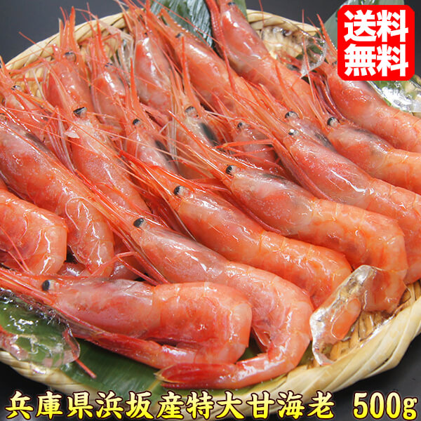 楽天市場】甘えび 【船内冷凍】大サイズ 500g以上 浜坂産 最もおいしい