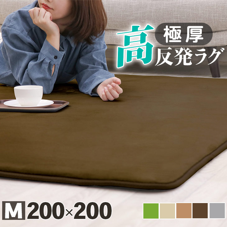 【ジャンル大賞！】 ラグ 高反発 極厚25mm 200×200cm ラグ 厚手 滑り止め ラグマット カーペット 2畳 ホットカーペット対応 リビング 高反発ラグ 春 夏 フリーリー