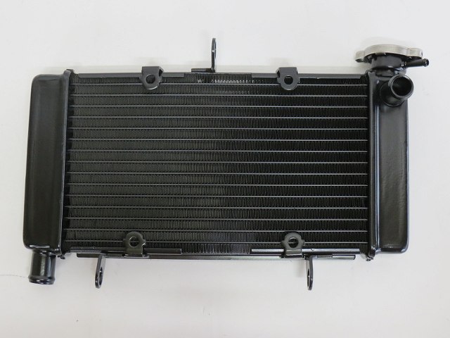 楽天市場】ns-1 前期 後期 nsr50/80 ラジエーター : 海展貿易shop