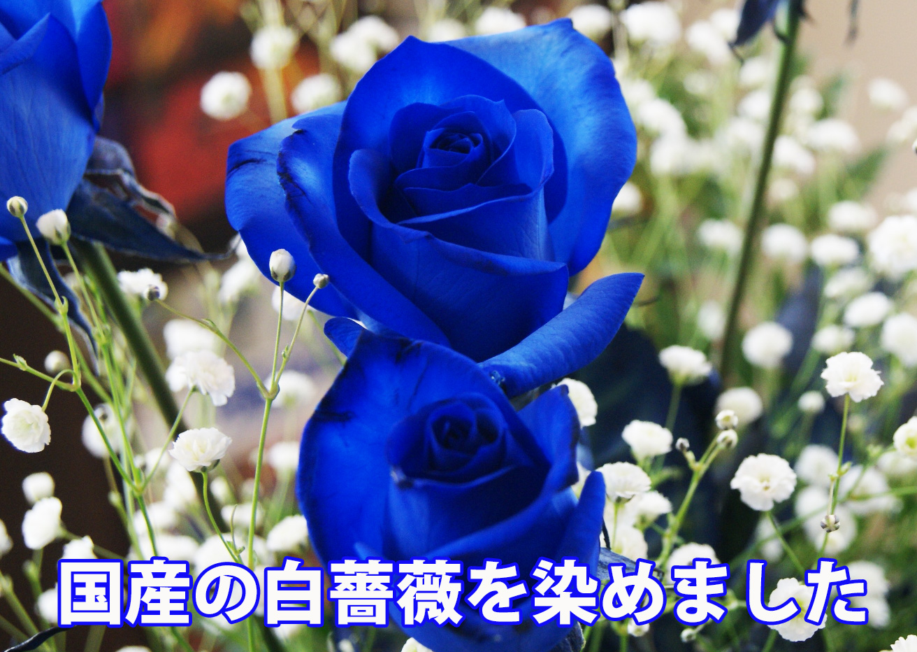 青いバラ ブルーローズ 20本 花束 ブーケ プレゼント 父の日 お中元 