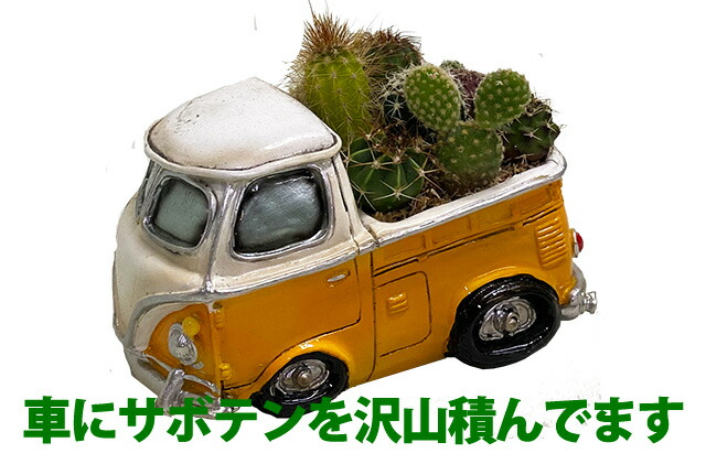 サボテン 鉢 寄せ植え セット トラック 車 ミニカー おしゃれ ギフト レア 誕生日 結婚記念日 父の日 母の日 クリスマス 敬老の日 お中元 ハオルチア アエオニウム エケベリア ビスタ プランター カット苗 セダム 花ギフト septicin Com