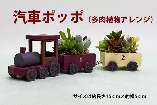 多肉植物 鉢 寄せ植え セット 汽車ポッポ おしゃれ ギフト レア 誕生日 結婚記念日 父の日 母の日 クリスマス 敬老の日 お中元 ハオルチア アエオニウム エケベリア ビスタ プランター カット苗 セダム 花ギフト Loeschenart Com