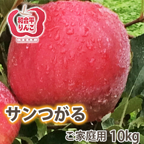 つがる りんご 訳あり 送料無料 【 ご家庭用 サンつがるりんご 10kg 満杯詰め 】 リンゴ 葉取らずりんご 山形　有機低農薬栽培 山形 朝日町 和合平 ５kg 3kg 訳あり 贈答 ト 農産物 ポイント消化 100円 300円 500円 津軽 農産物