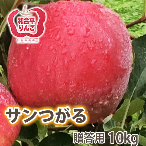 つがる りんご 送料無料 【 贈答用 サンつがるりんご 10kg 満杯詰め 】 リンゴ 葉取らずりんご 山形 有機低農薬栽培 山形 朝日町 和合平 つがるの特徴 5kg 3kg 訳あり 贈答 ト 農産物 ポイント消化 100円 300円 500円 津軽 農産物