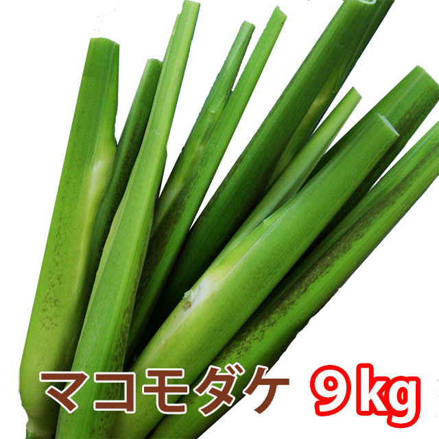 大分県産マコモダケ　（マコモタケ mkm_7kg.jpg