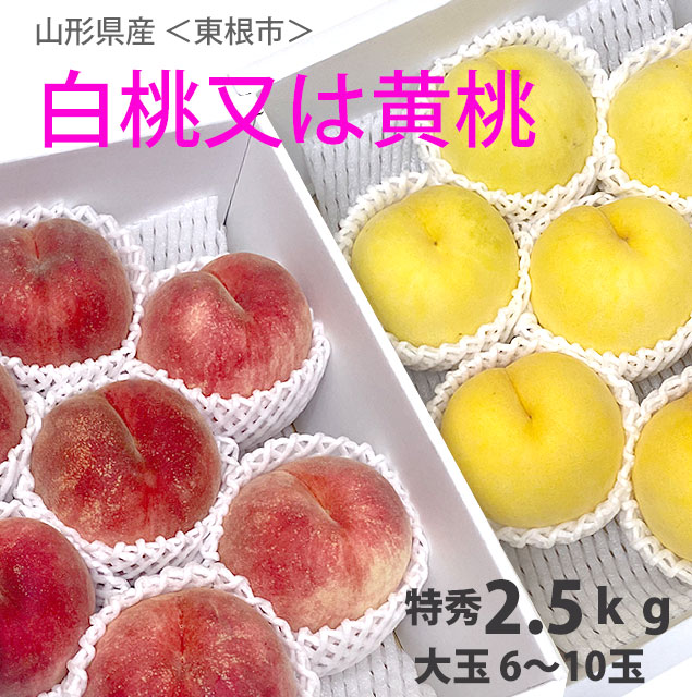 楽天市場】2025年 10月初めお届け 桃 特大 硬い桃 硬おもい 約