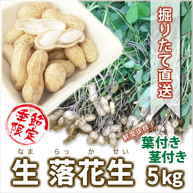 楽天市場】生落花生 落花生 生 山形産 【 品種おまかせ 10kg ５ｋｇ 2