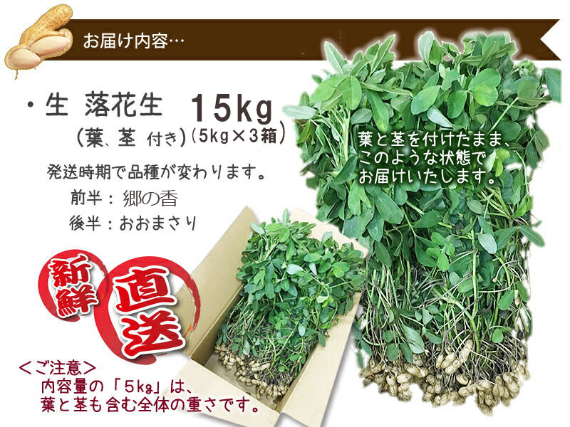 生落花生 落花生 生 山形産 品種おまかせ 15kg 3個 殻付き 葉付 発送時期で変わります おおまさり 郷の香 送料無料 ゆで落花生 ピーナッツ 生 通販 時期 生落花生とは 生落花生茹で方 栄養 国産 千葉 千葉県産 1kg 農産物 Brocamarketing Com