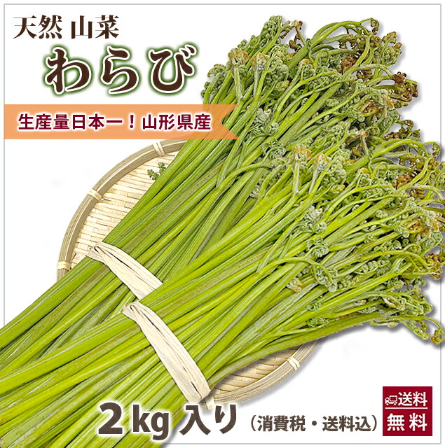 ワラビ1キロ miuranouen_warabi-mura-1kg.jpg