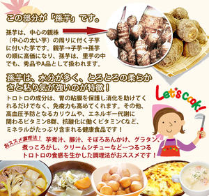 我家で採れた里芋土生芋(とちゅうだ)秀M〜Sサイズ5kg芋煮・煮っころがしにおススめ、土付き皮付き!山形産送料無料