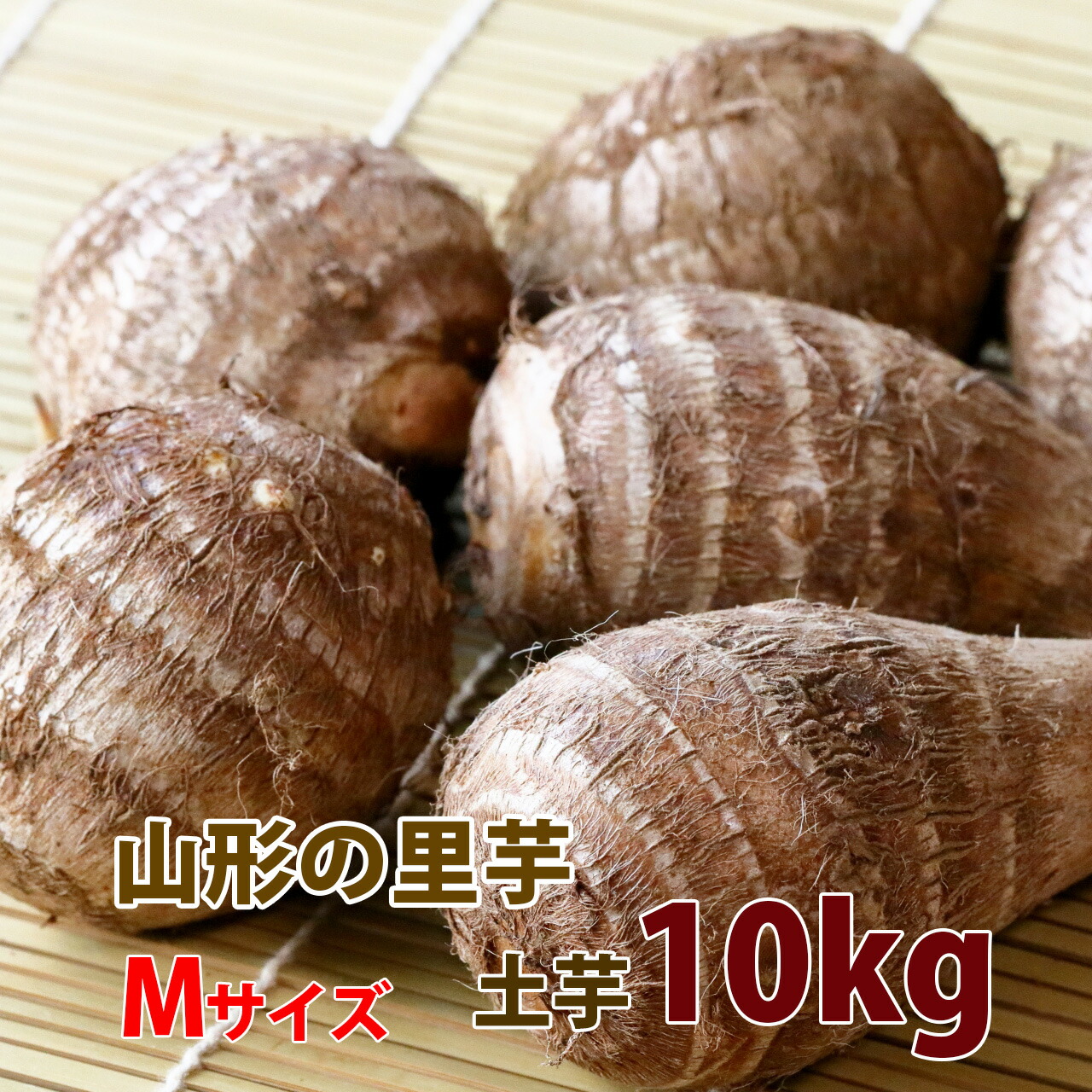 marukan-imo-m10-top.jpg