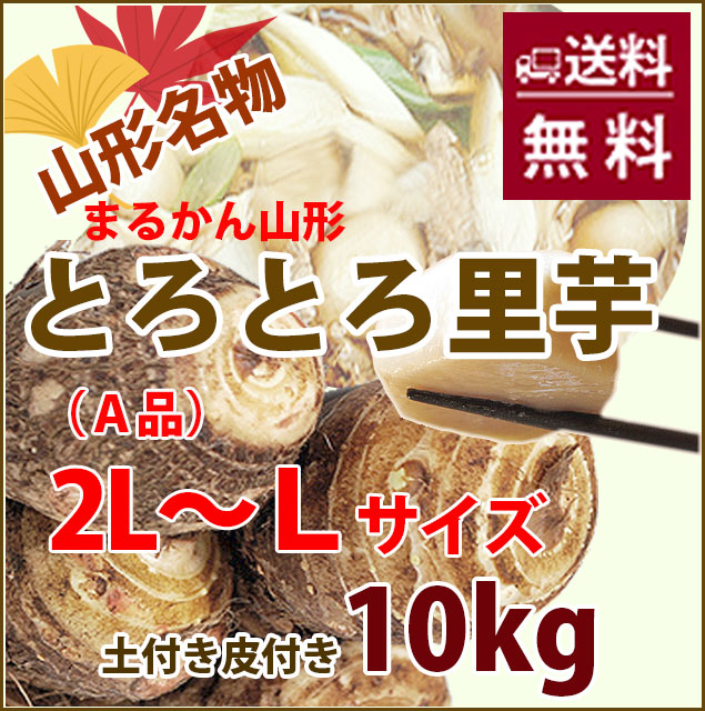 2026年 予約 里いも さといも サトイモ 山形 土芋 【 里芋 10kg 秀 A品 ２L～L サイズ ●勘 】 土垂 種類 国産里芋 保存 種 煮っころがし 煮物 レシピ 下処理 長持ち 里芋の収穫時期 里芋の保存場所 里芋の保存方法 里芋種芋 農産物 芋煮会 ねっとり 送料無料 悪戸芋