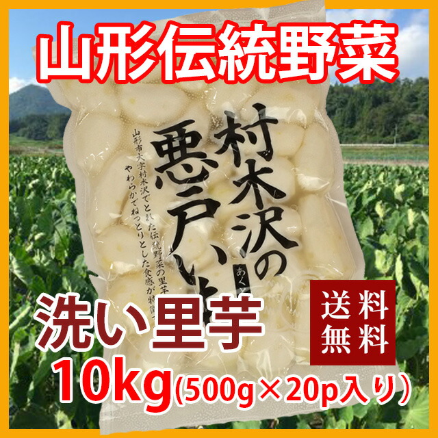 2026年 予約 里芋 さといも 悪戸芋 皮むき 冷蔵 10kg 1,000ｇ 10P入り 種類 さといも 保存 種 煮っころがし 煮物 レシピ 下処理 長持ち 里芋の収穫時期 里芋の保存場所 里芋の保存方法 里芋種芋 農産物 芋煮会 ねっとり 送料無料