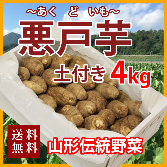 野菜 里芋 農薬・肥料不使用》里芋 HOP-PE-PE ~you are what you eat