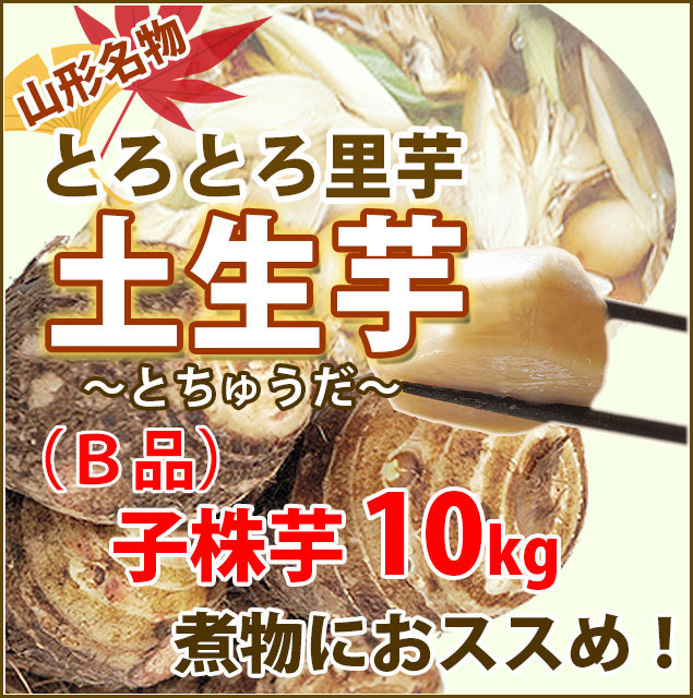 里芋 ねっとり 山形 子株 B品 さといも 土生芋 10ｋｇ 煮物やおでんにおススメ 訳あり とちゅうだ 送料無料